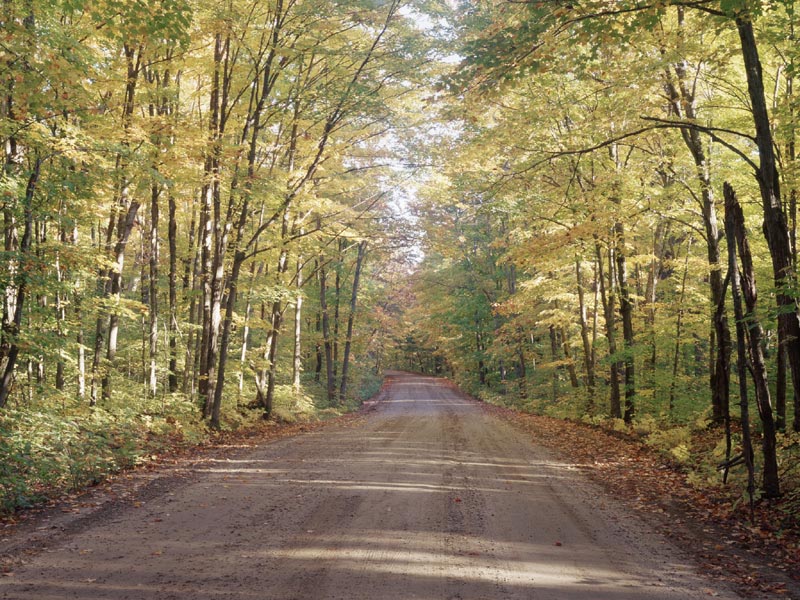 Road to Arohon Lodge, photography, large format, algonquin, arohon