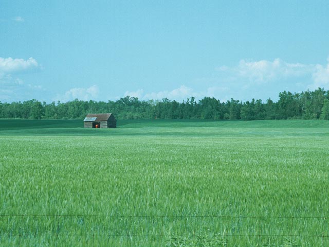 photograph, barn, landscape, scenic