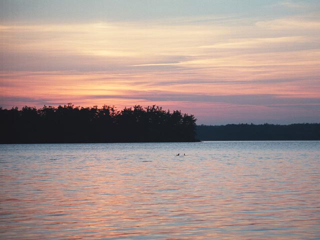 photograph, sunset, ontario, loon, loons