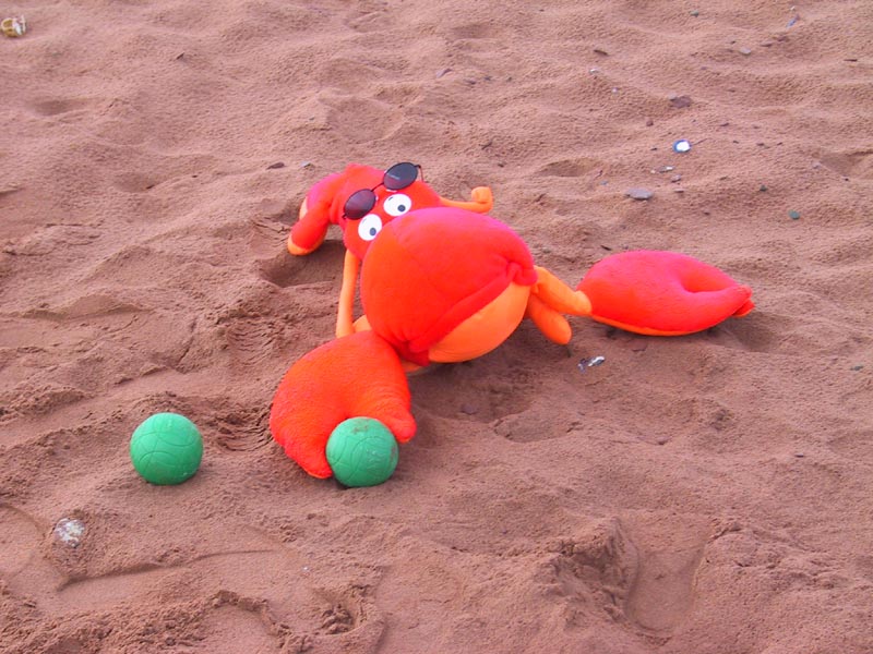 photography, PEI, vacation, canon G1, humour, lobster, beach