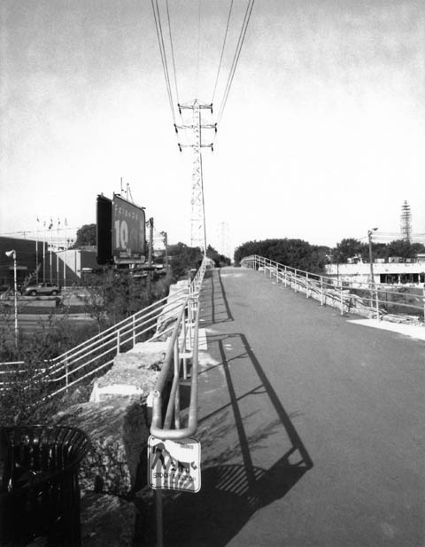 black and white, photograph, toronto, hikinh trail, Beltline trail