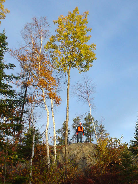 Gord Jackson, Hunting, Orange, fall color