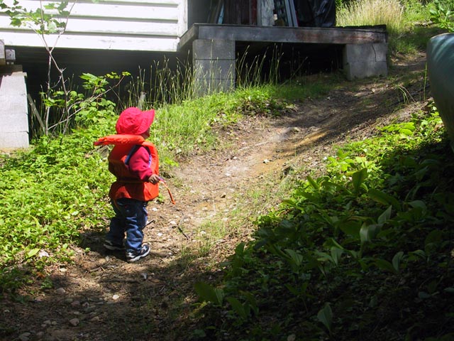 declan, geneva lake, life vest, toddler