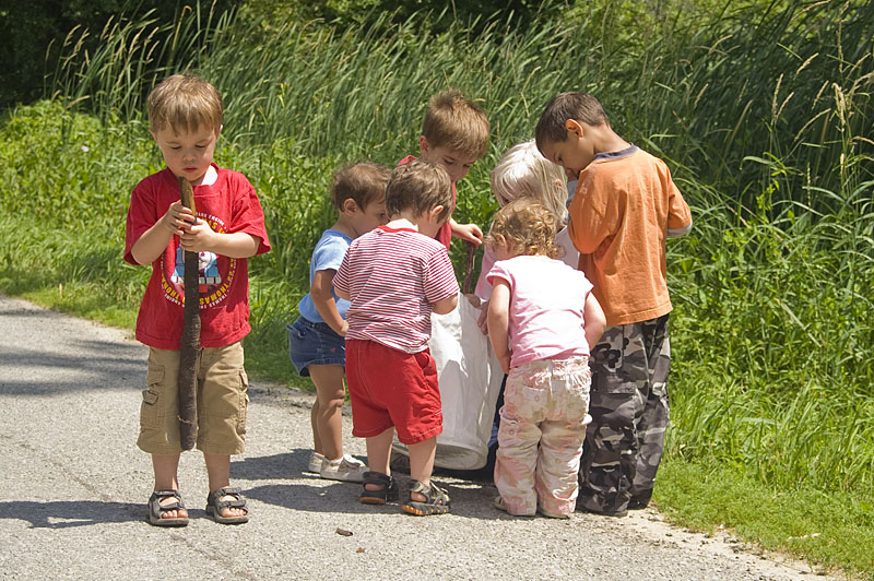 Carols cottage, turtle, kids, swarm